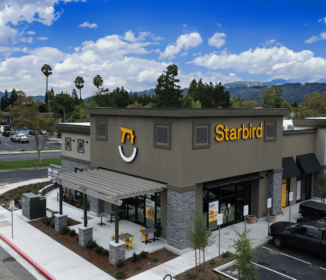 Starbird Chicken 2