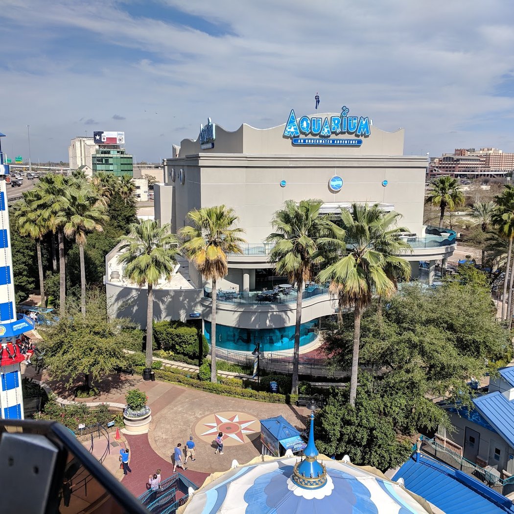 Downtown Aquarium 3