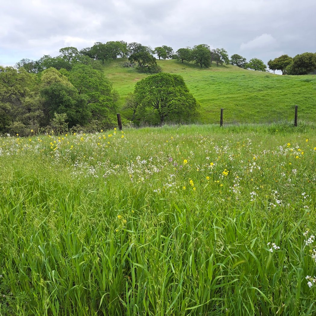 Hidden Valley Lake Fishing Reserve 3