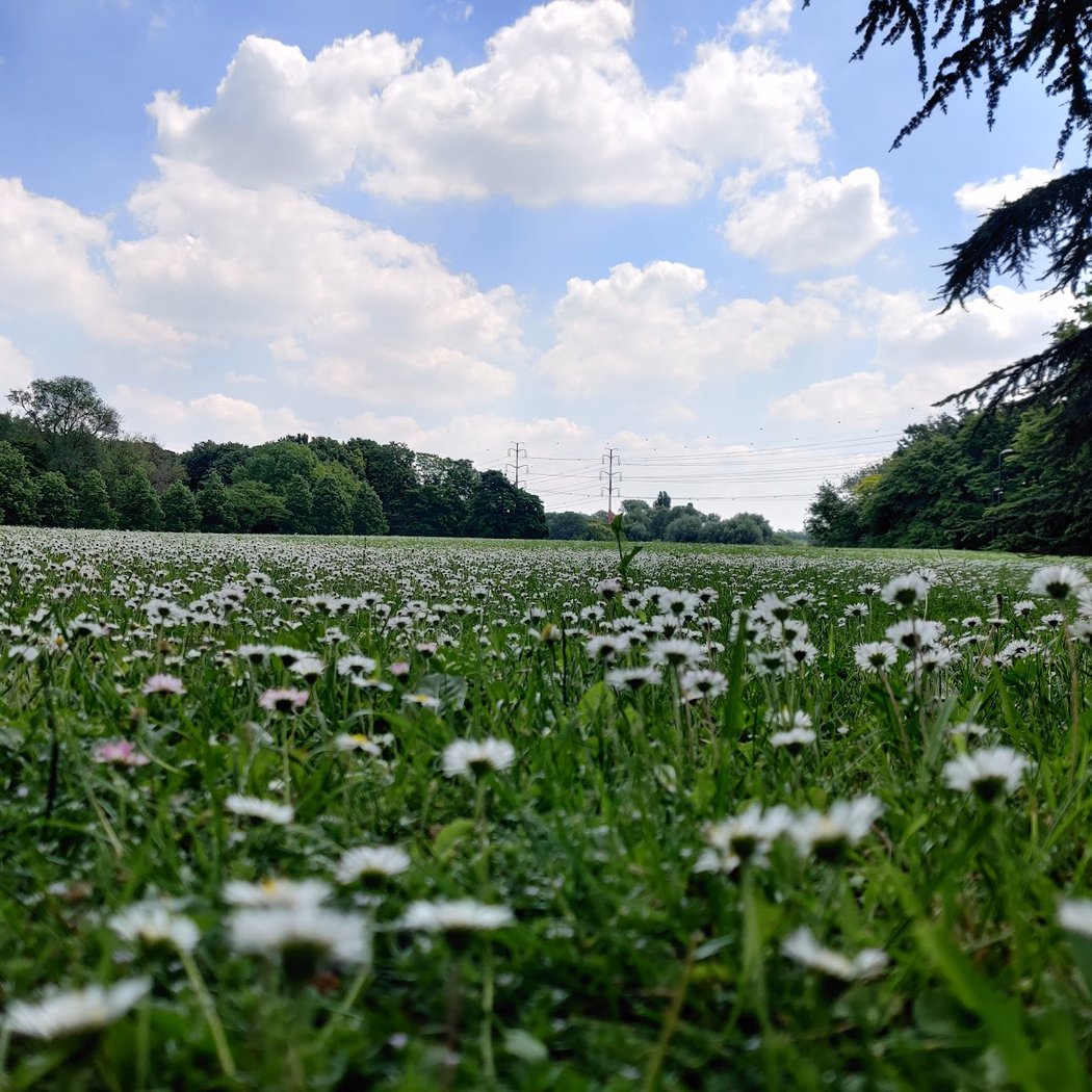 Parc Georges Brassens 1