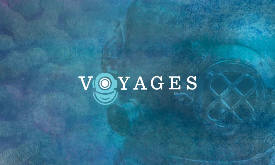 Voyages: Chapter 8 1