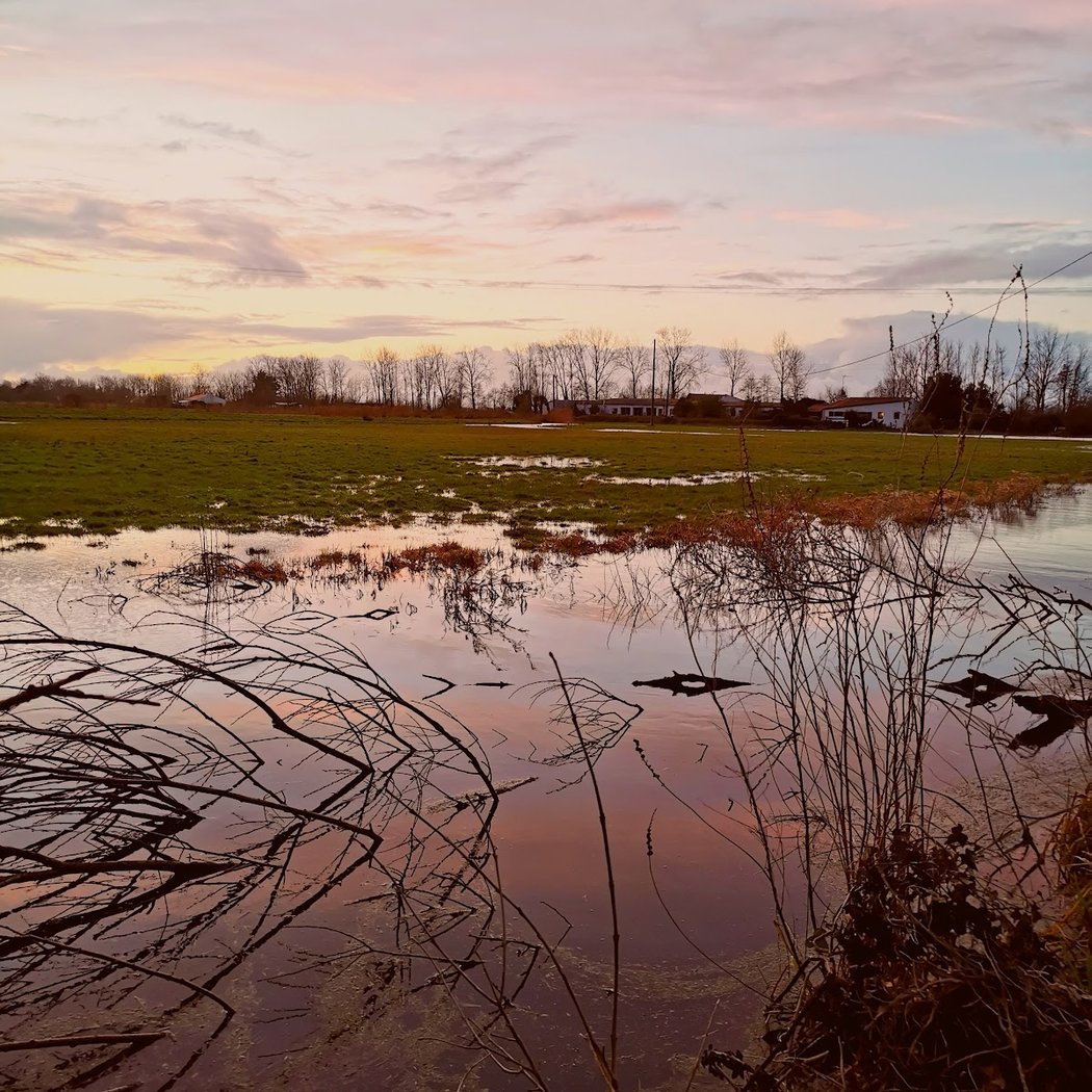 Marais Breton 2