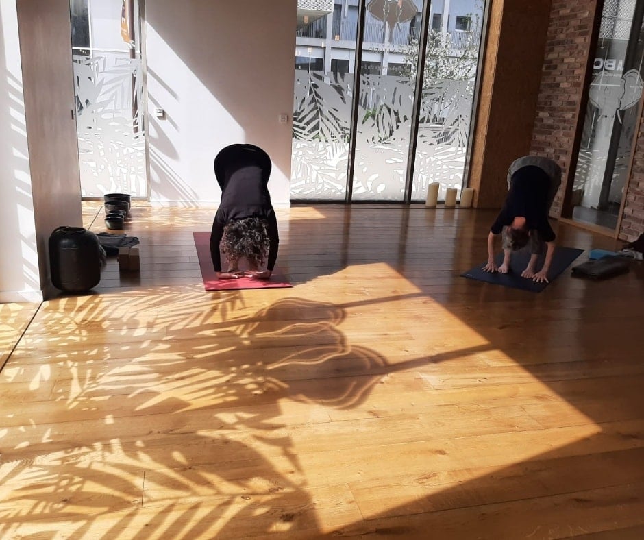 ateliers Yoga Aérien – prochaine séance 4