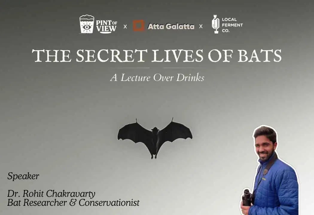 Secret Lives of Bats 1