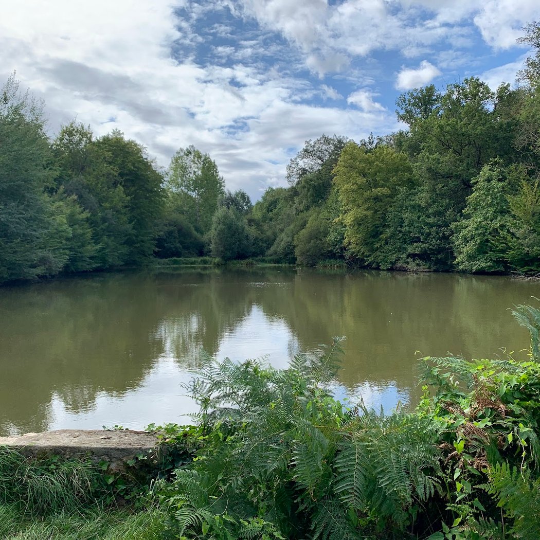 Parc des Côtes de Montbron 3