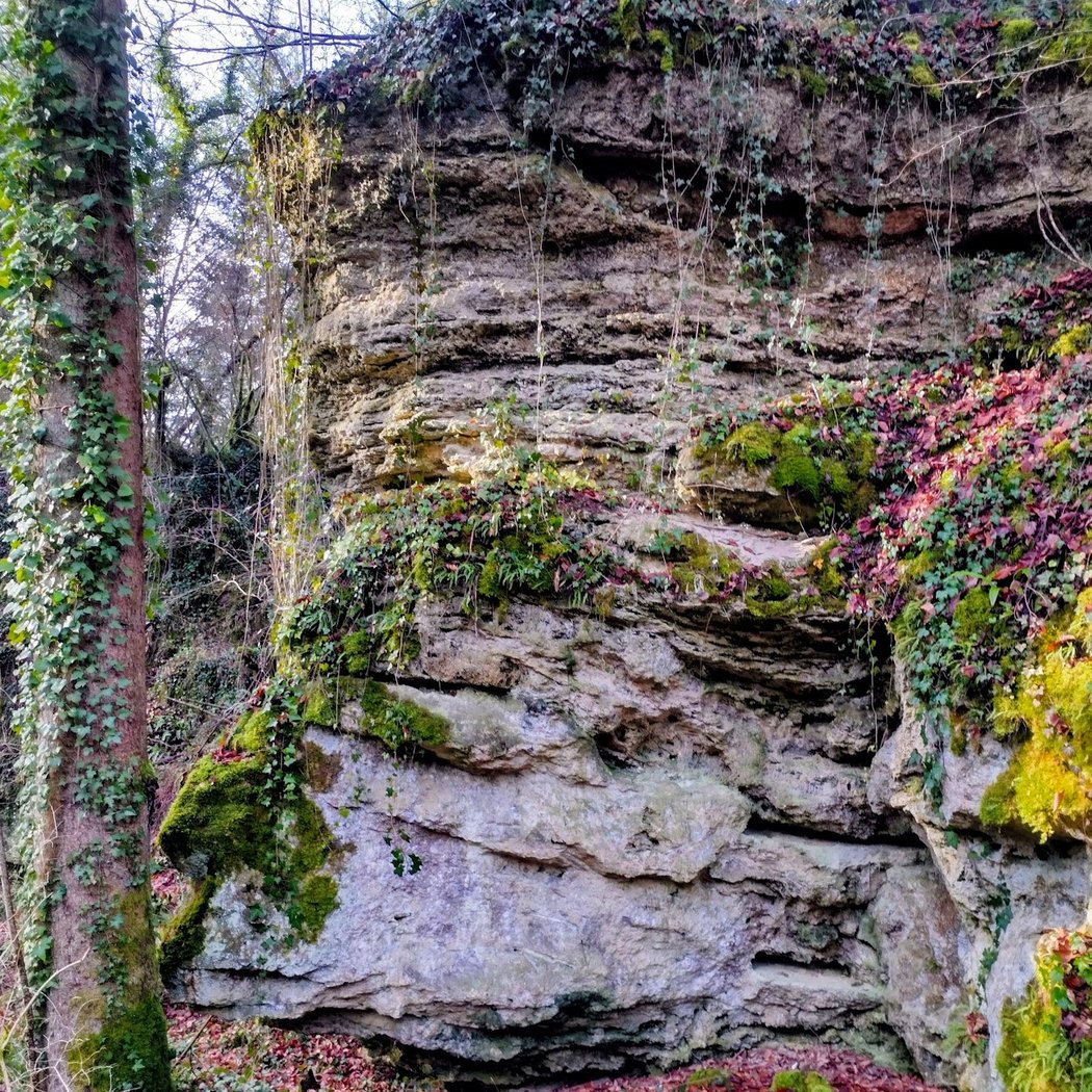 Cascades d'Étufs (Source Pétrifiante) 3