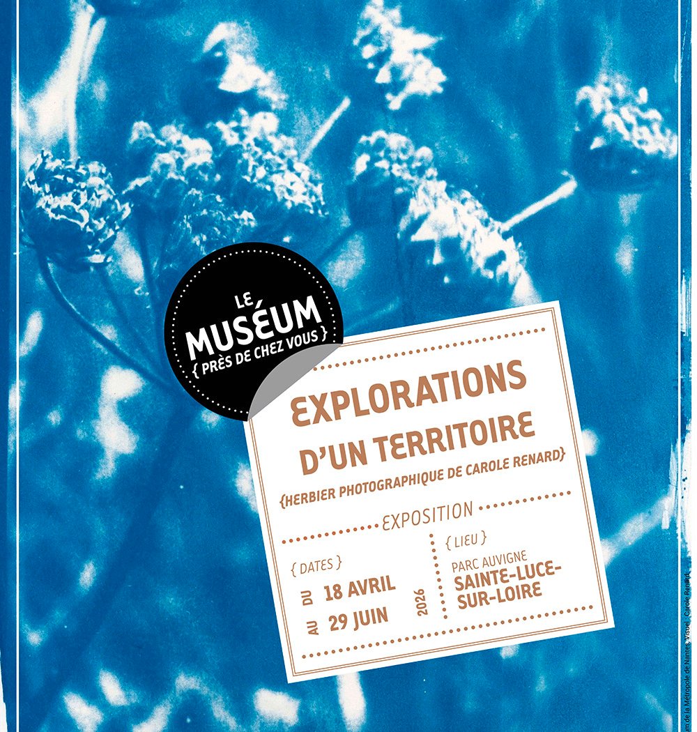 Explorations d'un territoire par Carole Renard 1