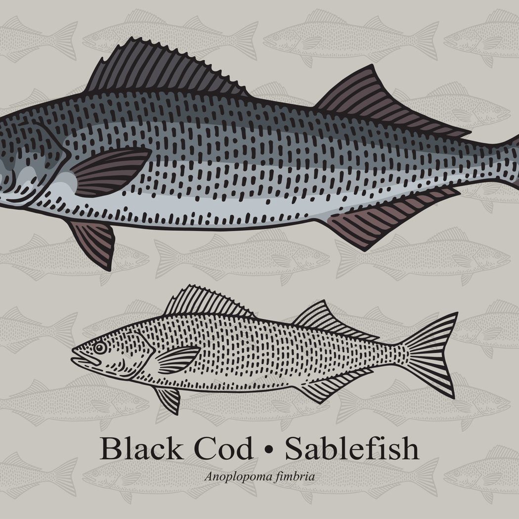 One Fish, Two Fish, Black Cod, Bluefish 1