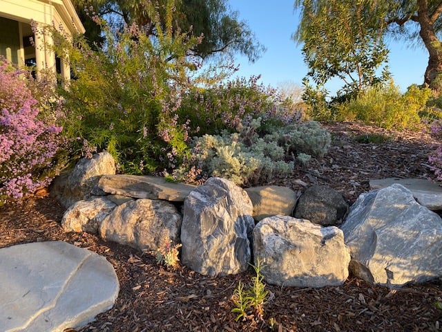 Kat Weiss Landscape Design 1