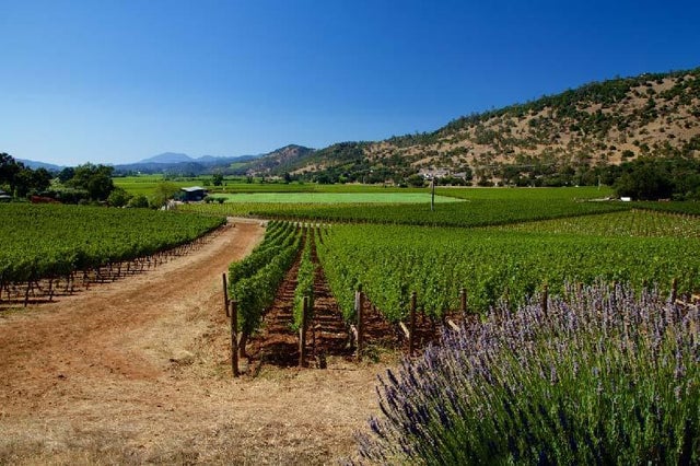 Related Wine School: Napa Valley with Ben Bohen 1