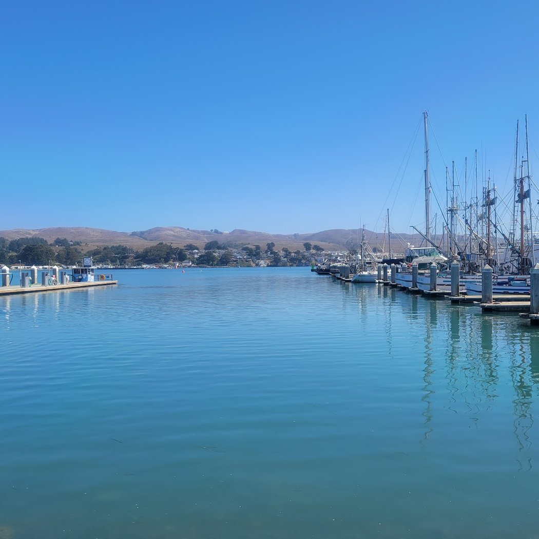 Bodega Harbor 2