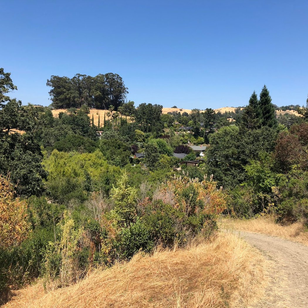 Lafayette Community Park 3