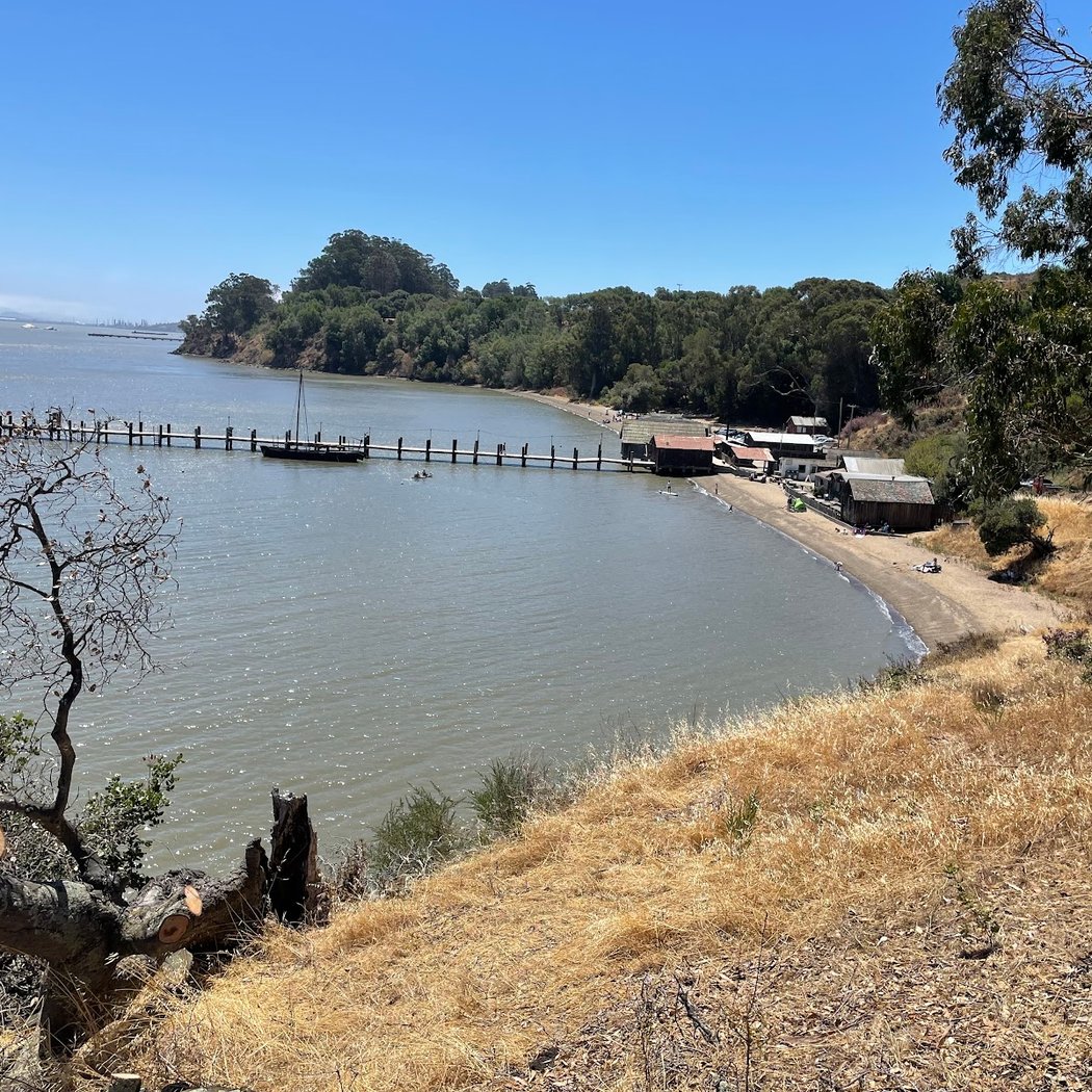 China Camp Beach 2