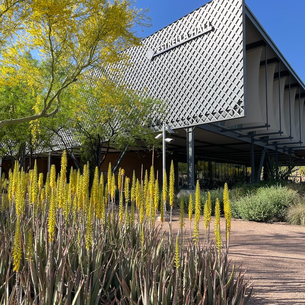 Desert West Market 1