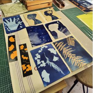 Initiation au cyanotype - pratique complète 2