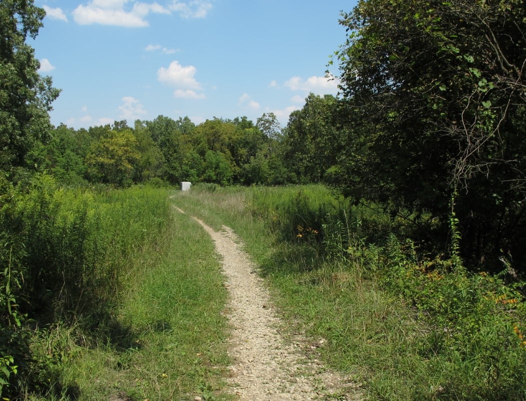 Red Gate Woods 2
