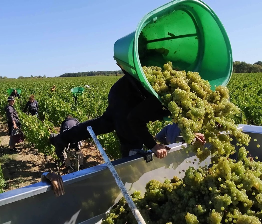 Domaine des Cognettes 1