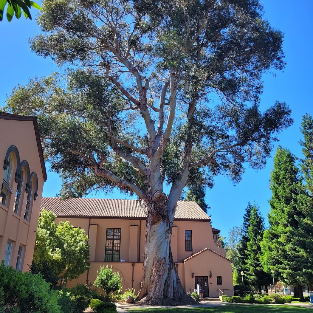 Sequoia High School 2