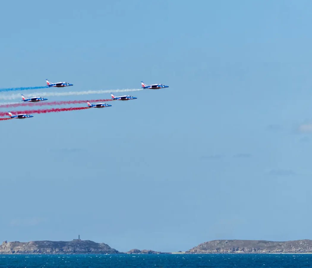 Spectacle aérien de la Patrouille de France 1