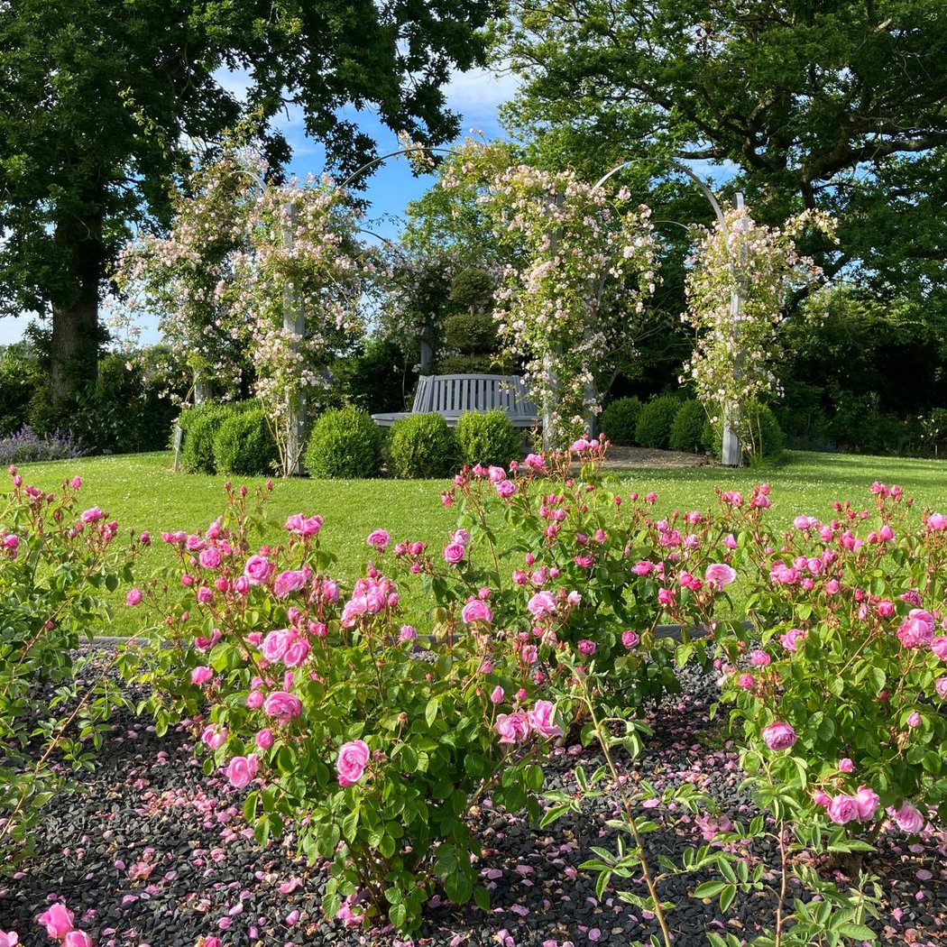 Parc Floral William Farcy 1