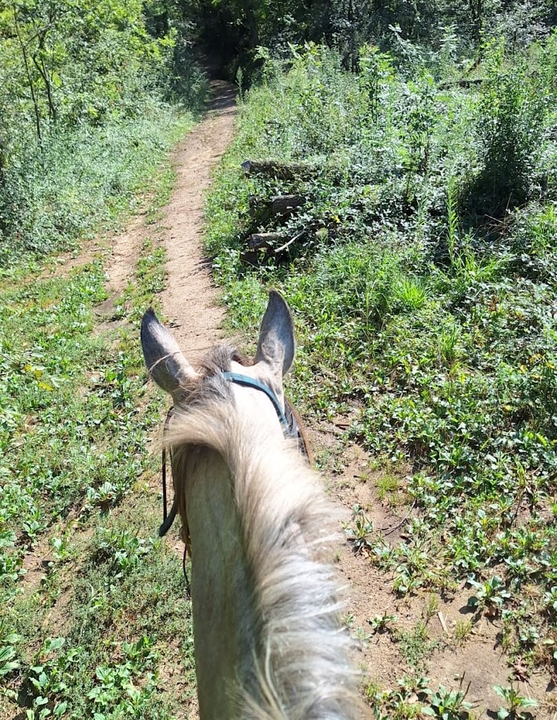 A Cheval Rando Libre 3