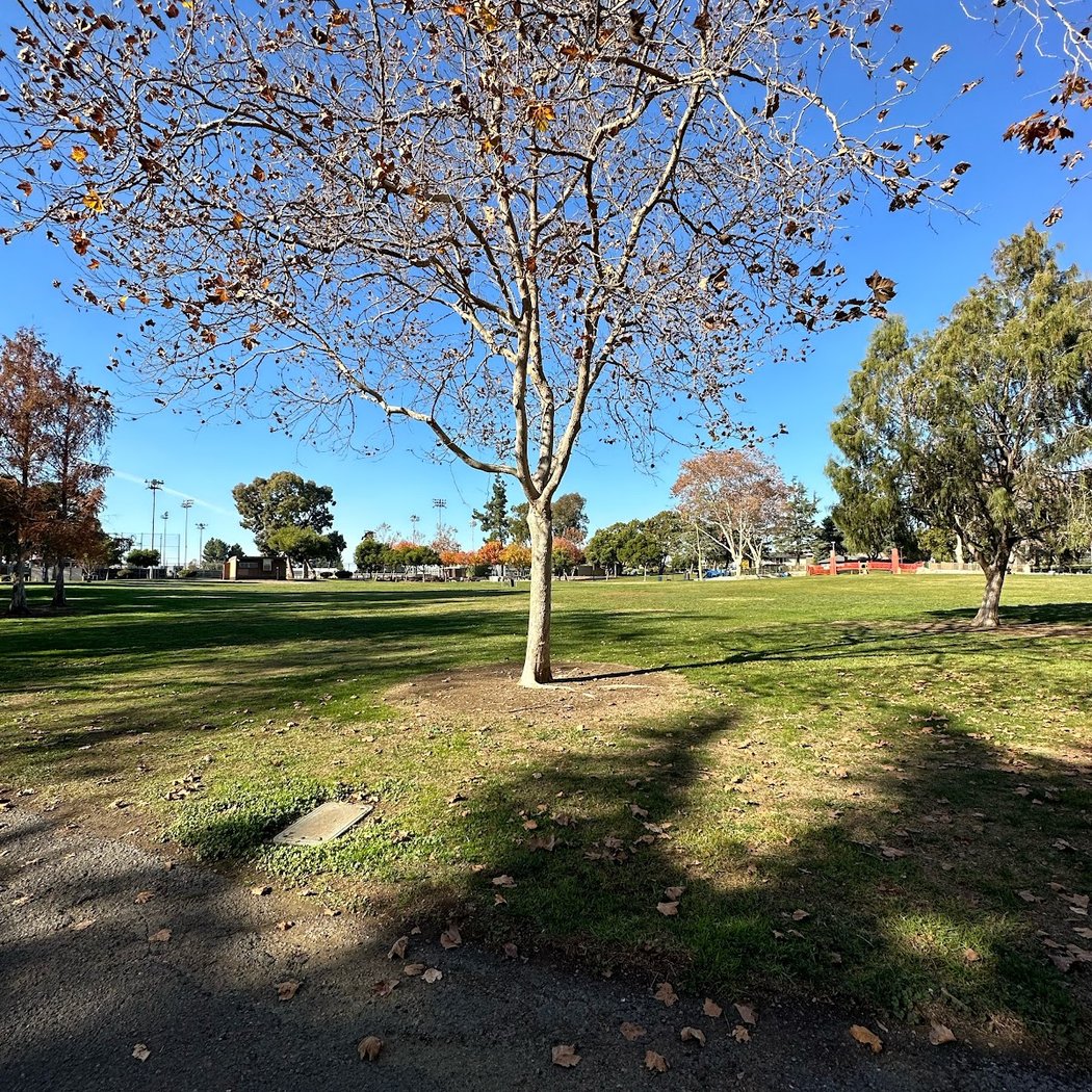 Kennedy Park Amphitheater Picnic Area 3