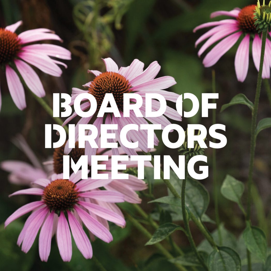 Board of Directors Meeting 1