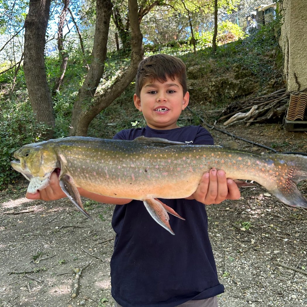 Pisciculture Des Sources Du Gapeau St-Christophe 1
