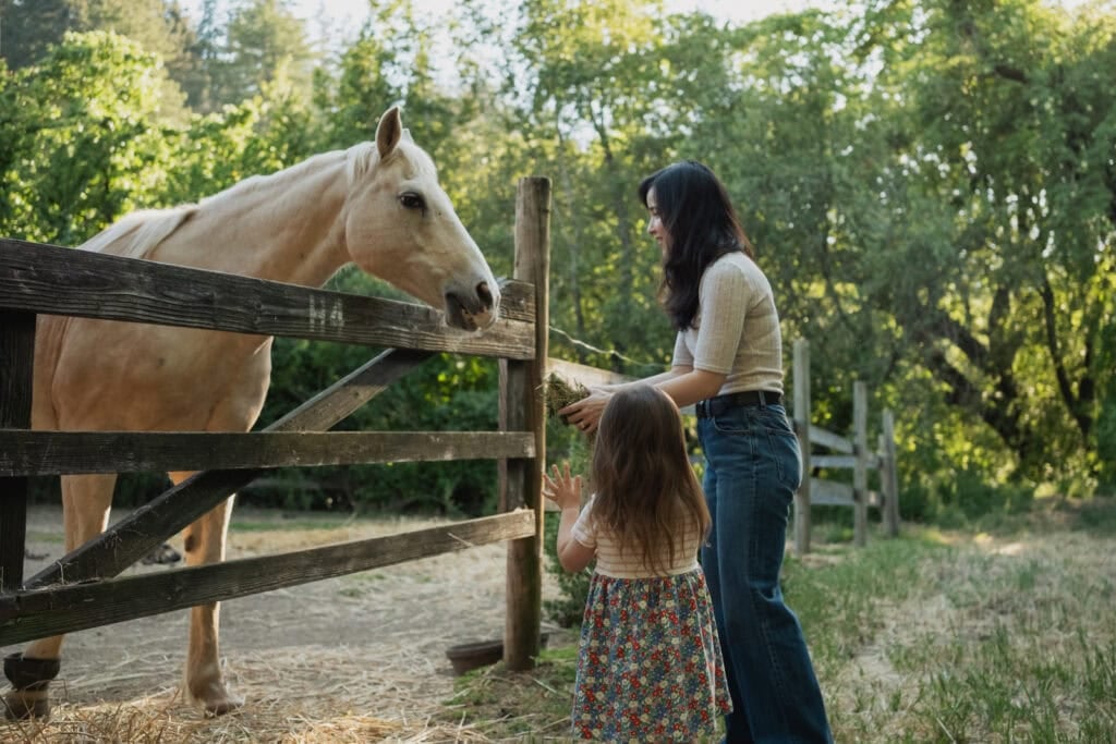 Dickson Ranch 1