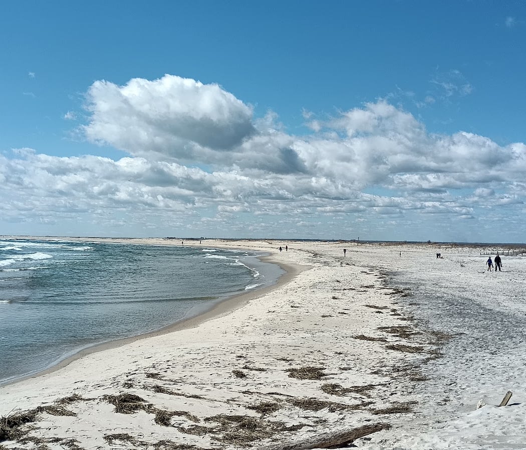 Edwin B. Forsythe National Wildlife Refuge — Holgate Beach Wilderness 4