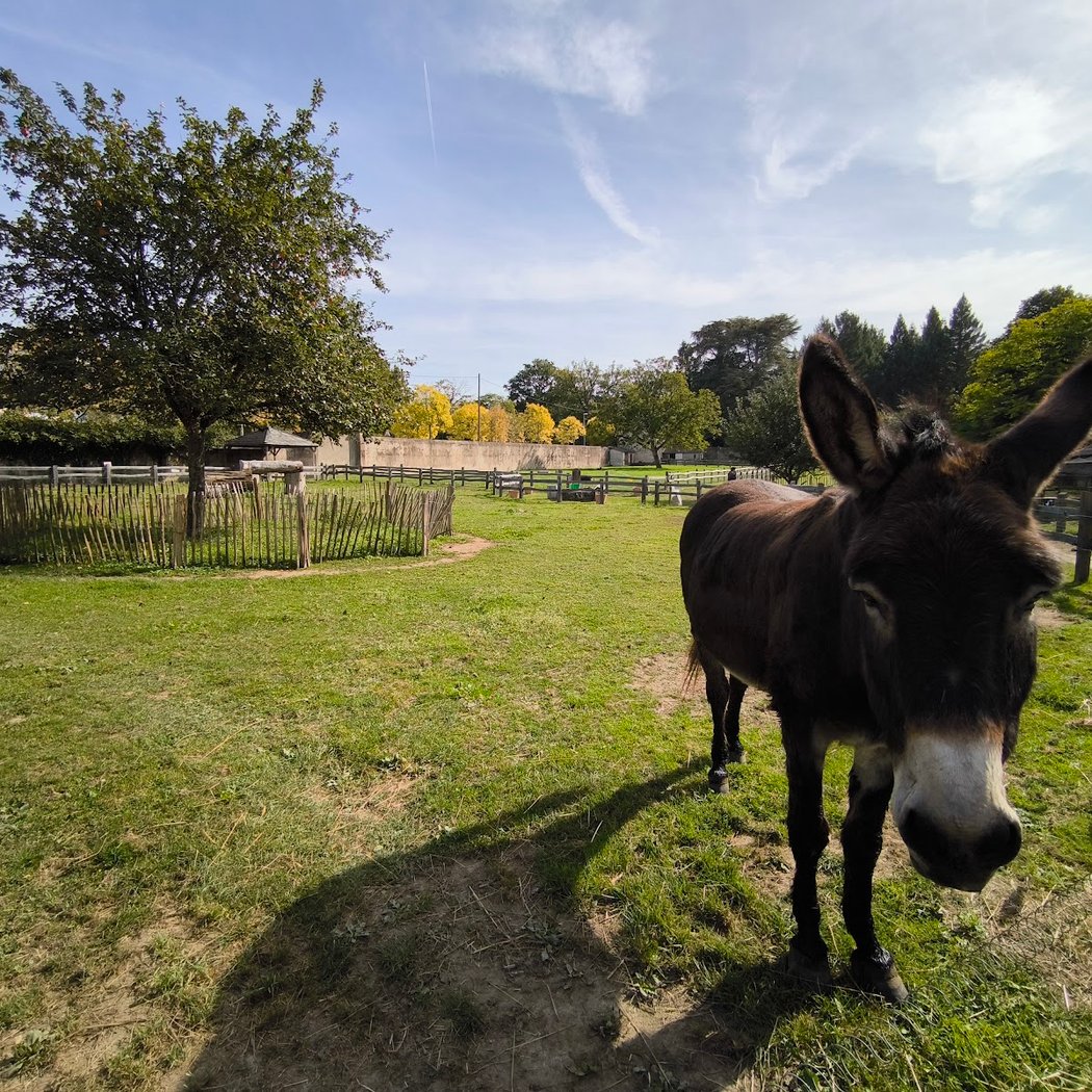 Rendez-vous à la ferme : Visites les mercredis