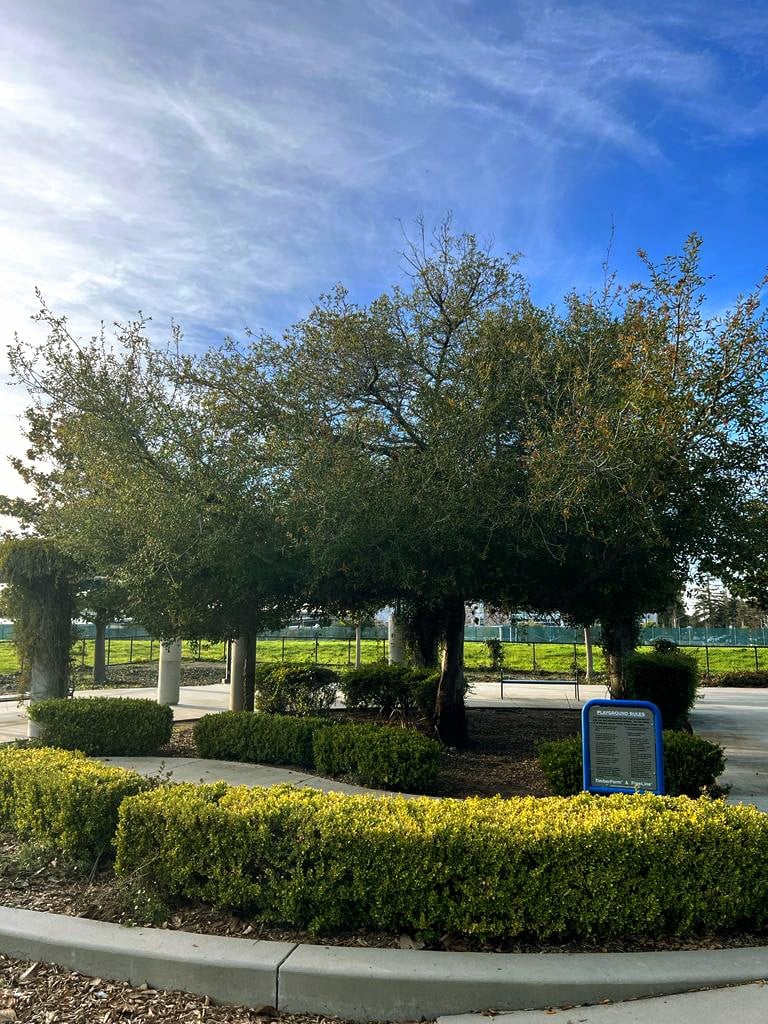 Rosemary Gardens Park 2