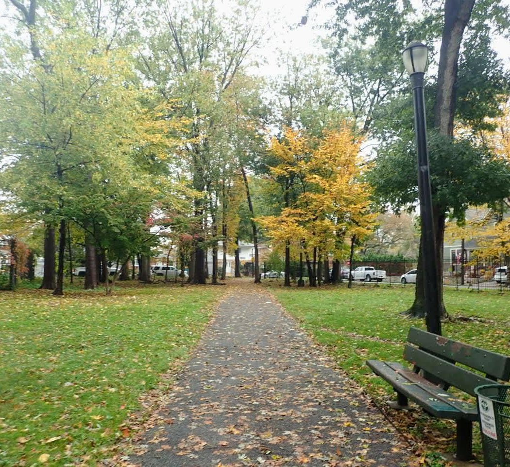 Northerleigh Park 2