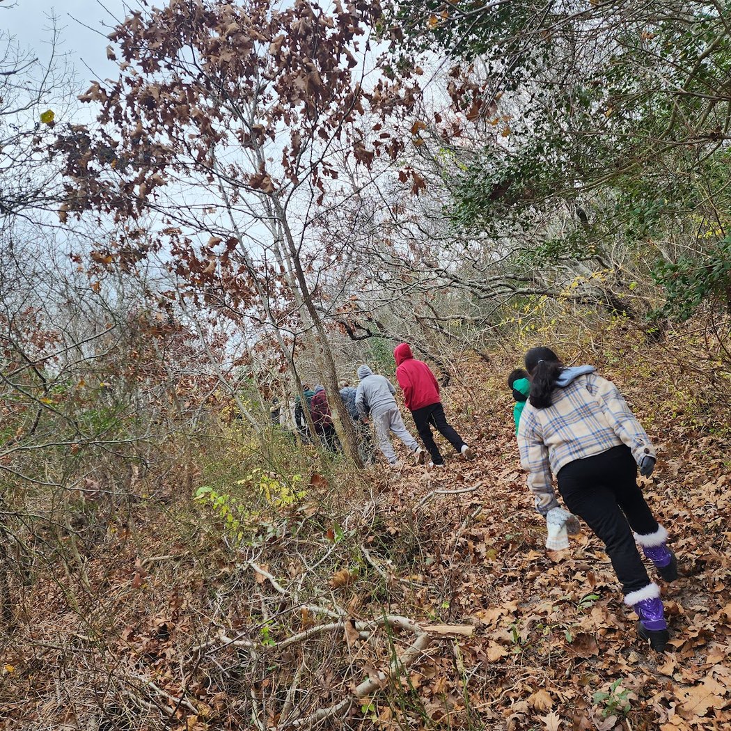 Seal Haul Trail 5