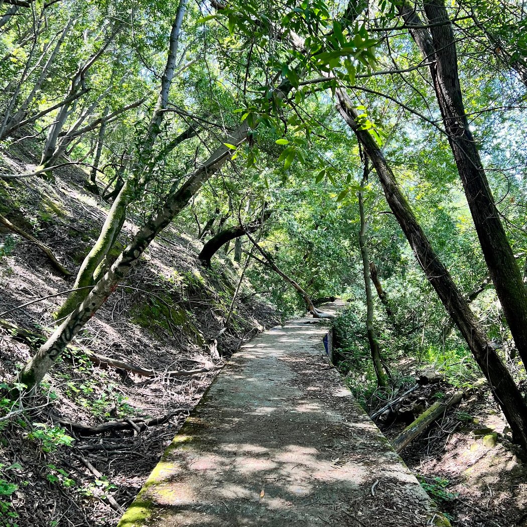 Secret Sidewalk 2