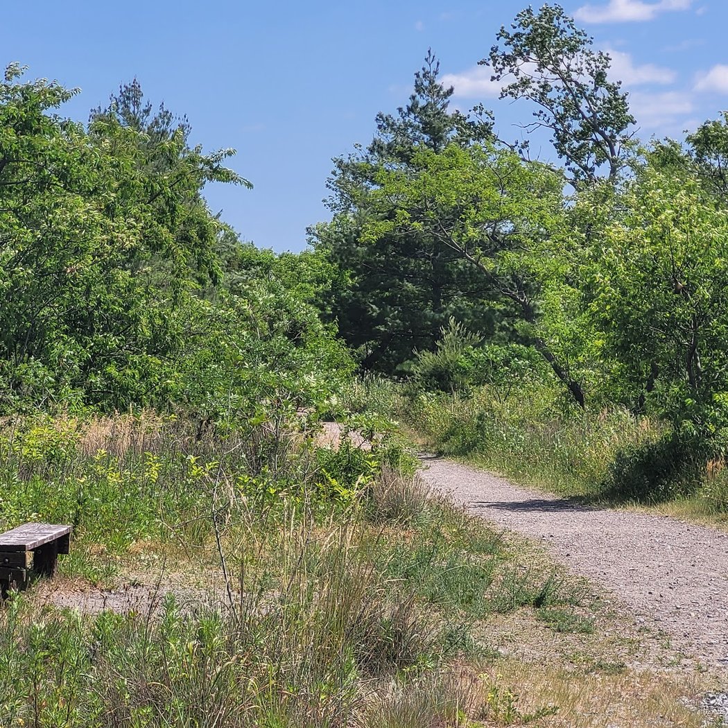 Blind Birder Bird-a-Thon with the National Park Service 3
