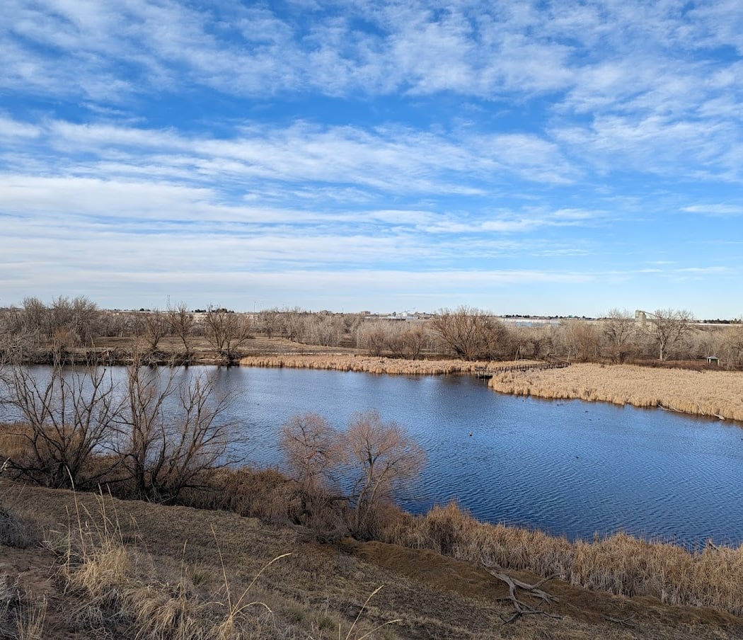 Bird Walk at Bluff Lake Nature Center 3