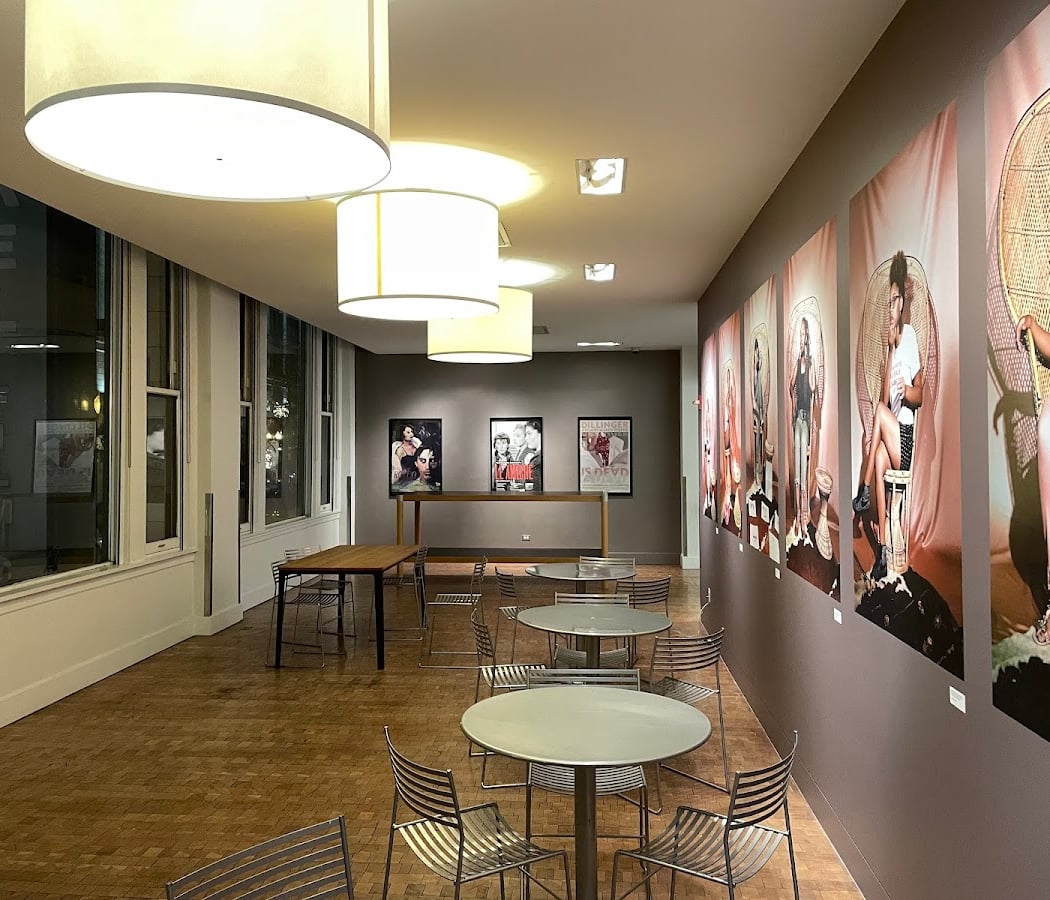 Gene Siskel Film Center 3