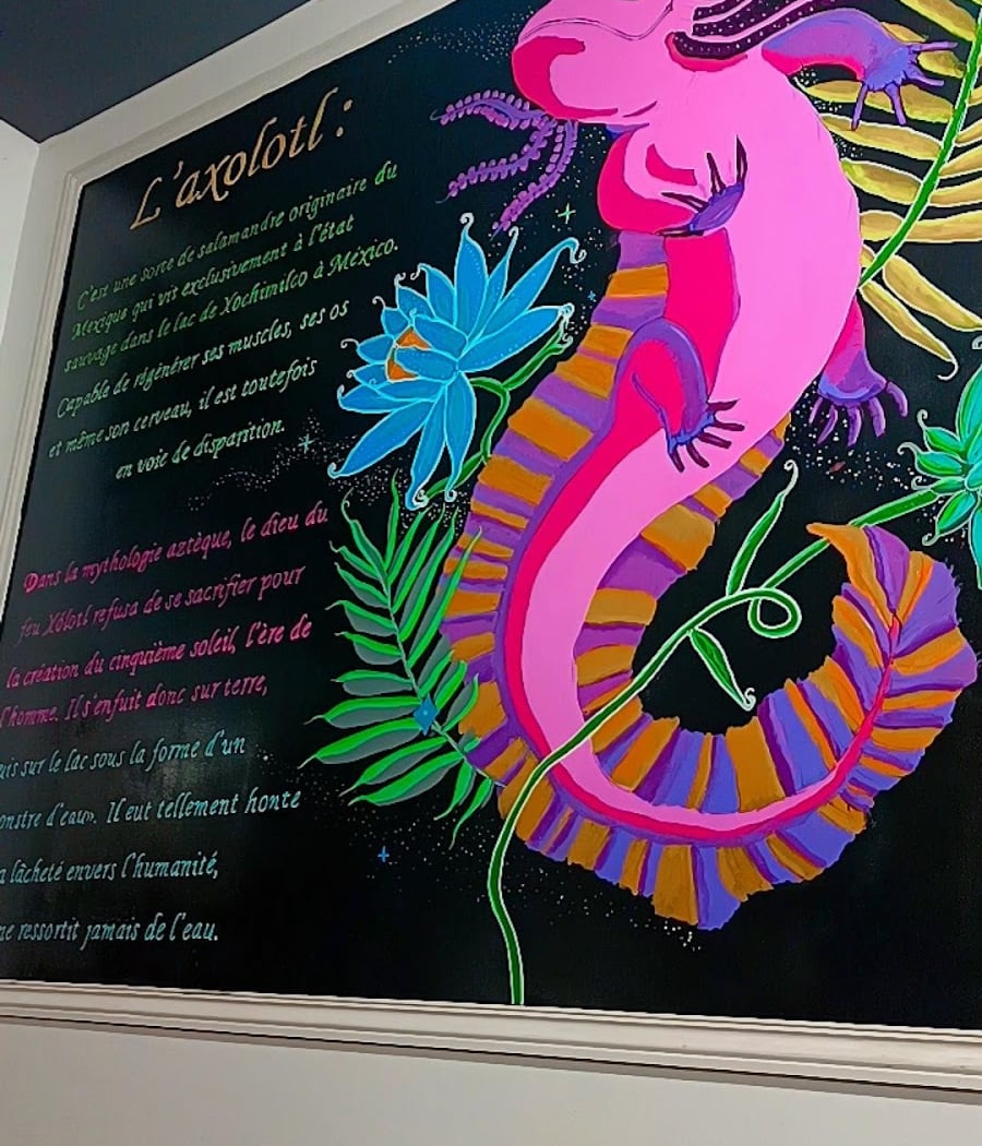 l'axolotl restaurant 3