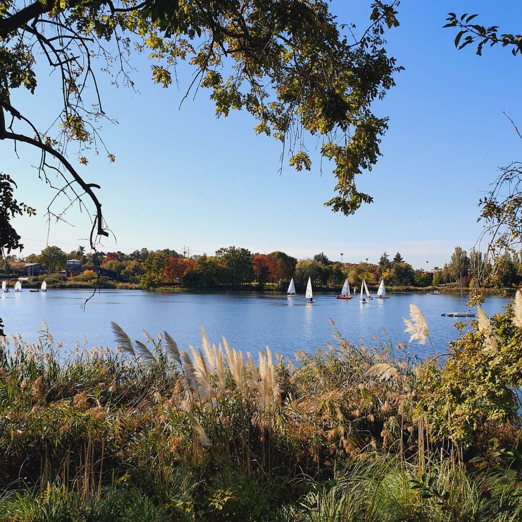 Lac de Créteil 1