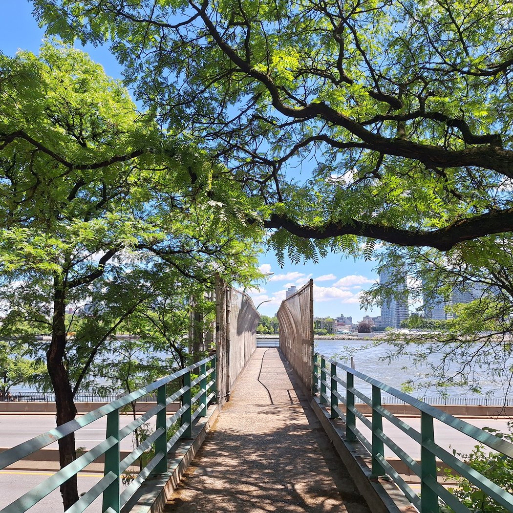 Peter Detmold Park 2