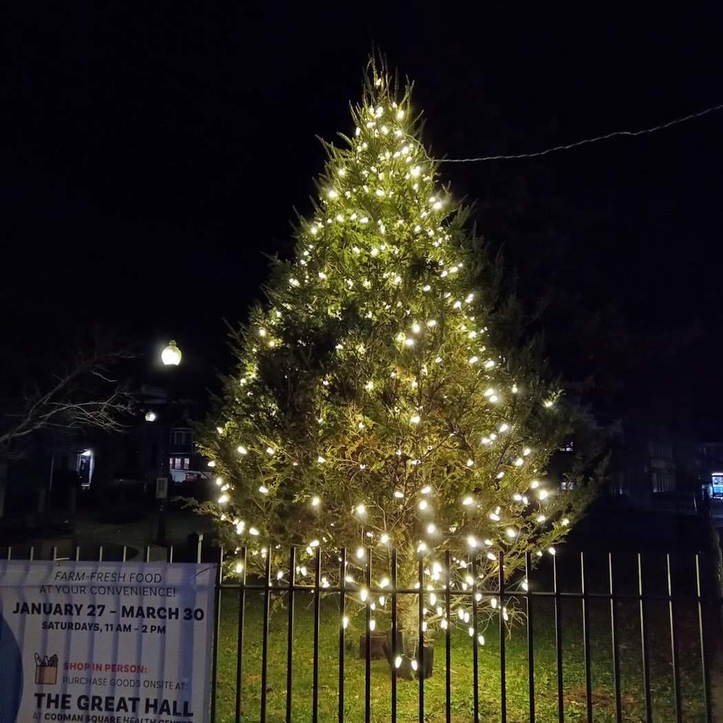 Codman Square Park 1