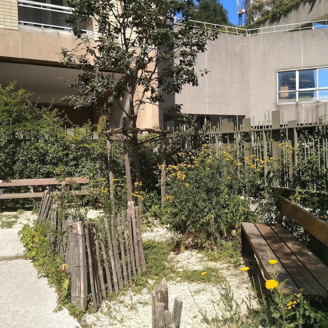 Majunga Public Garden 3