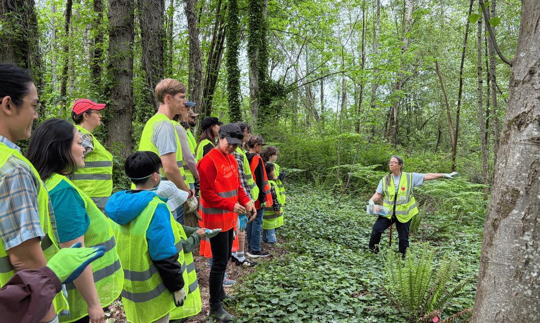 Heron’s Nest: Liberating the Forest 1
