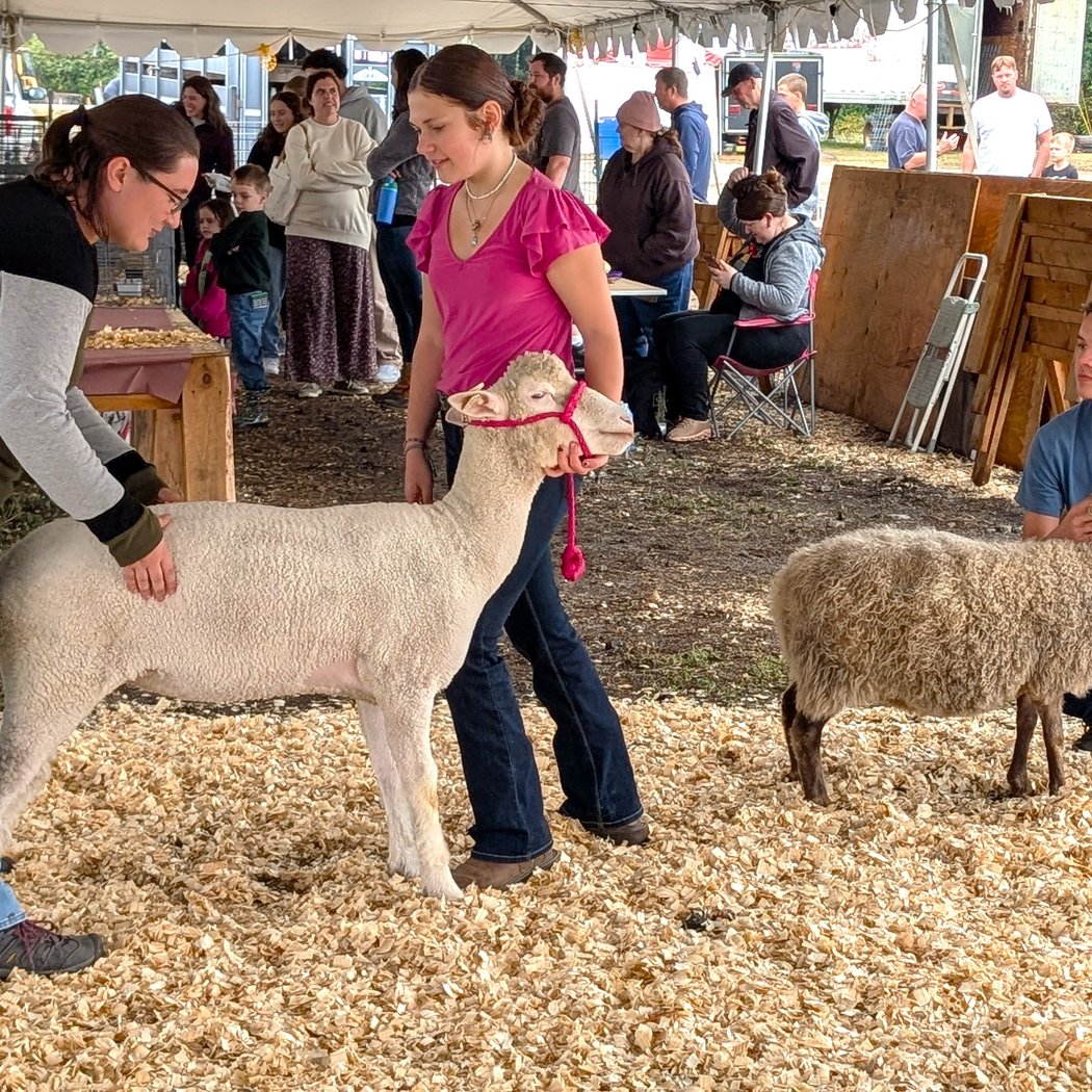 The Sterling Fair 2026 3