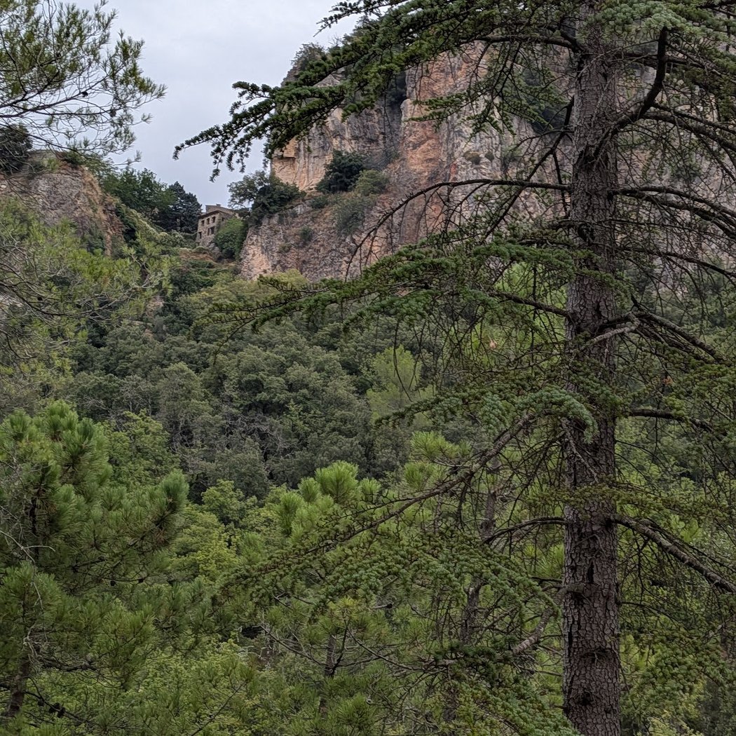 Gorges de la Nartuby 2