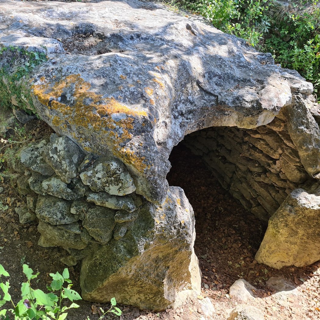 Dolmen de la Pitchoune 1