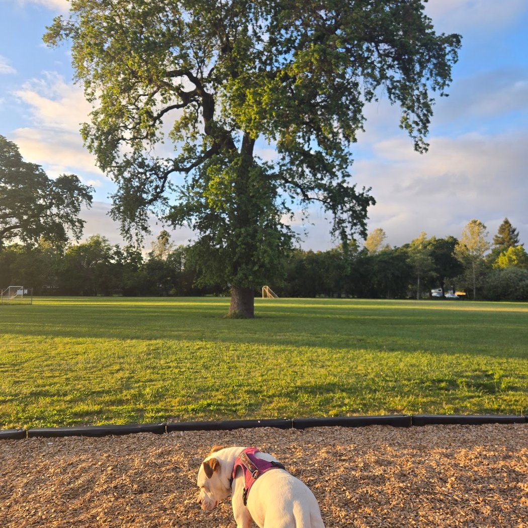 City of Santa Rosa - Steele Lane Park 3