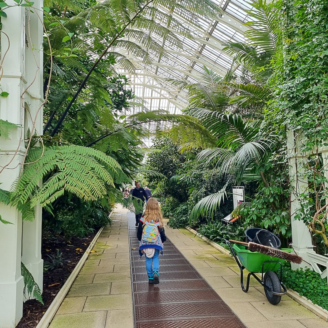 Temperate House 2