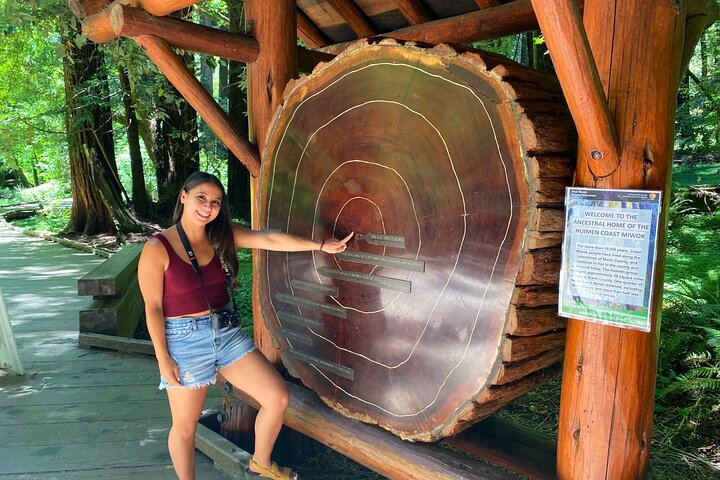 Muir Woods and Golden Gate Bridge 3-hour Private Group Tour 3